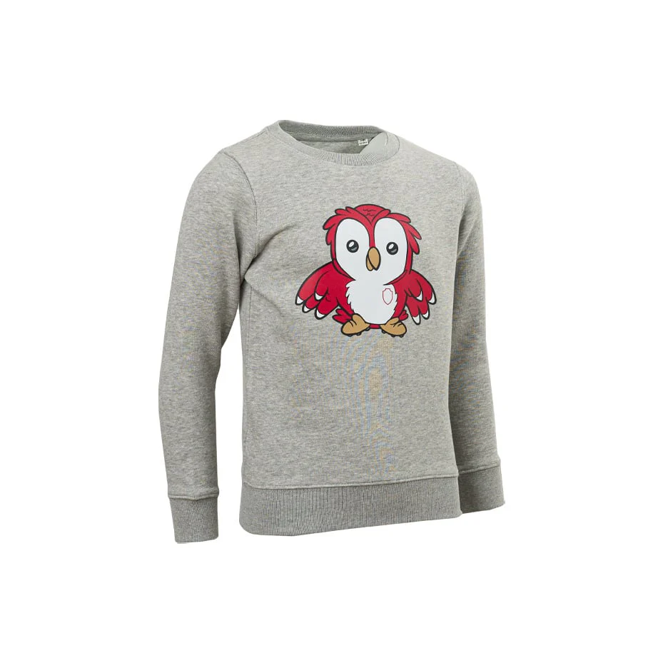 Royal Antwerp FC 'Bosuil' Sweater Grijs - Junior