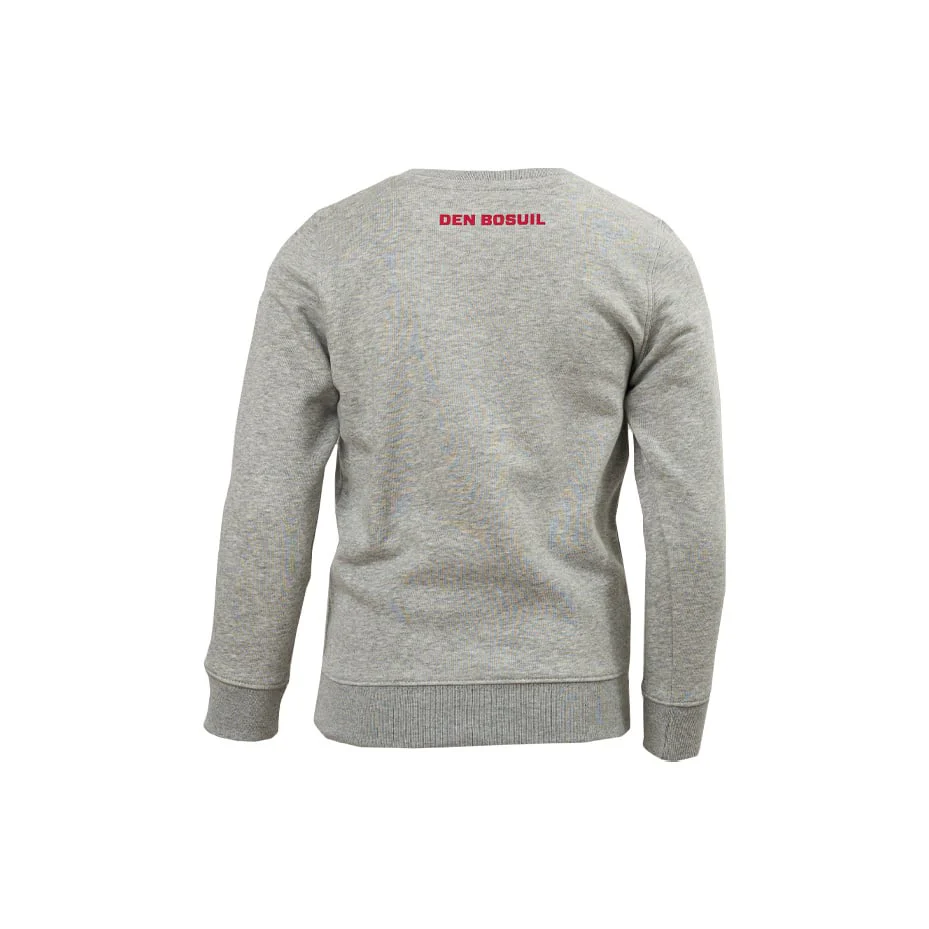 Royal Antwerp FC 'Bosuil' Sweater Grijs - Junior - Image 2