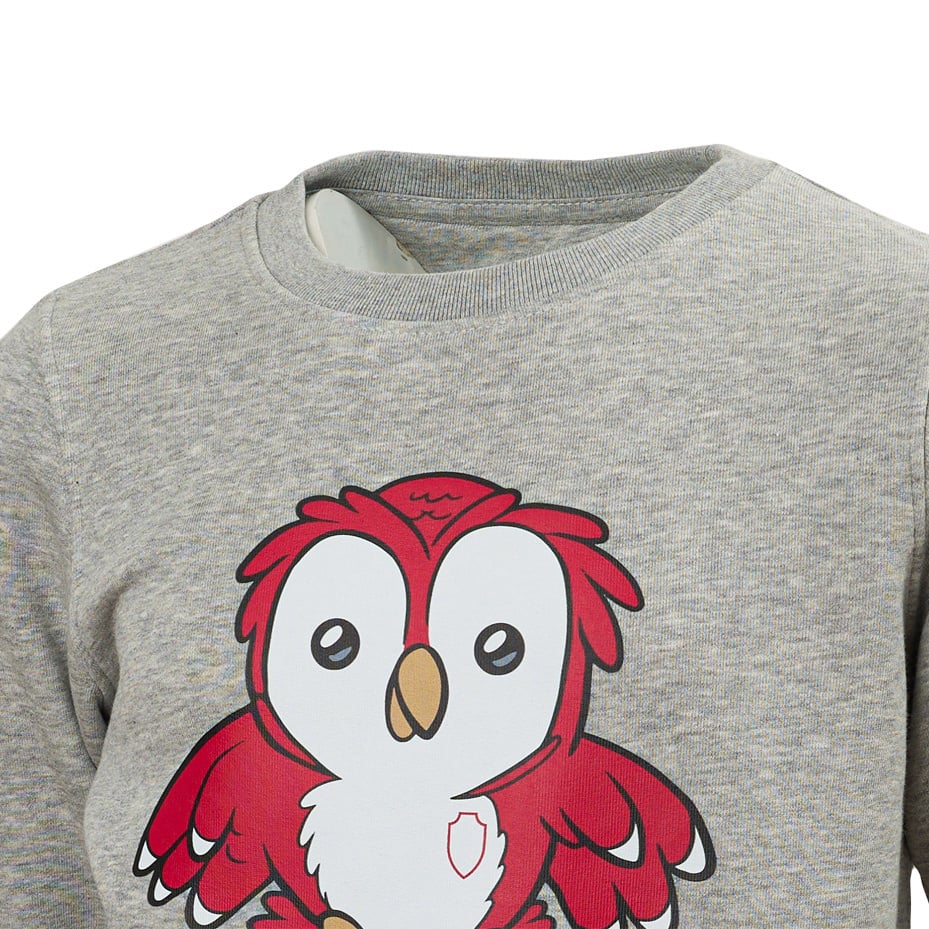 Royal Antwerp FC 'Bosuil' Sweater Grijs - Junior - Image 3