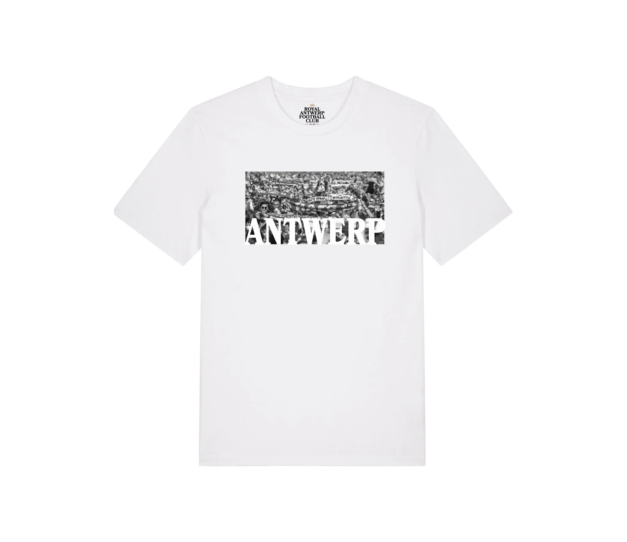 Royal Antwerp T-shirt Wit - 'ANTWERP' grijs foto supporters - Image 4